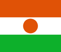 Niger flag